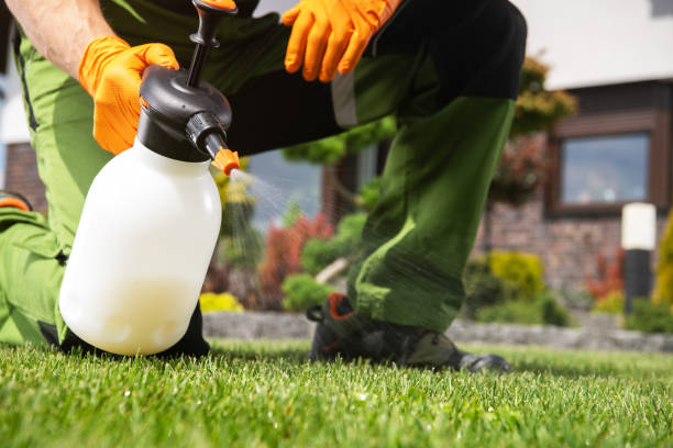 Best Flea Control Services  in Highland City, FL