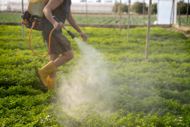 Best Affordable Pest Control Services  in Highland City, FL
