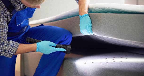 Best Rat Extermination Near Me  in Highland City, FL